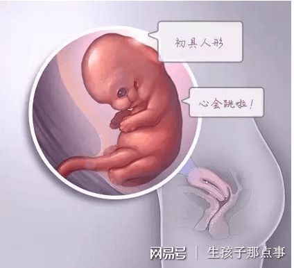 供卵代生机构